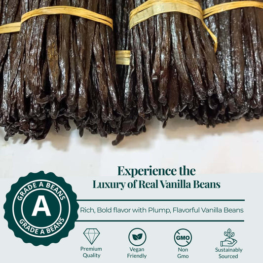 Grade A vanilla beans premium plump pods rich bold flavor natural non GMO gourmet vanilla beans for baking and extracts