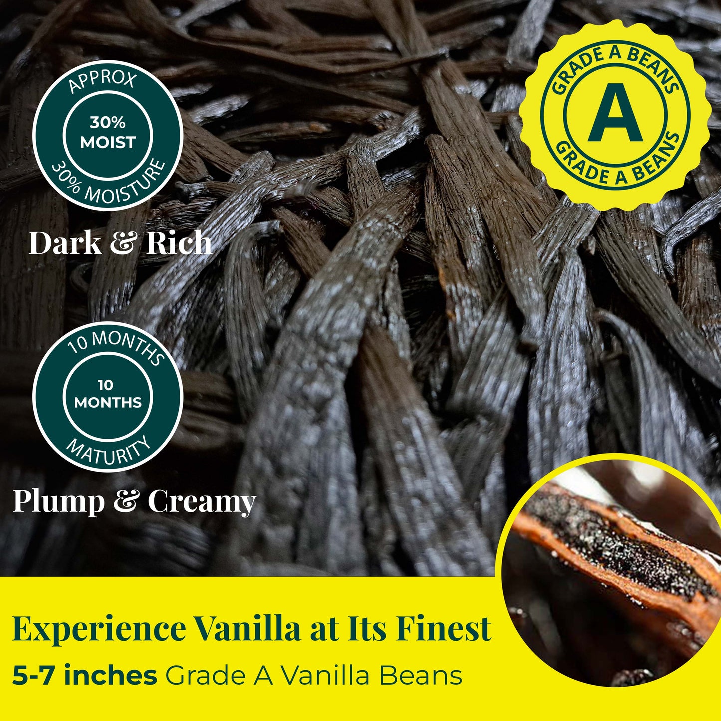Experience Vanilla at its Finest 5 -7 inches Grade A Vanilla Beans. Approx 30% Moisture content