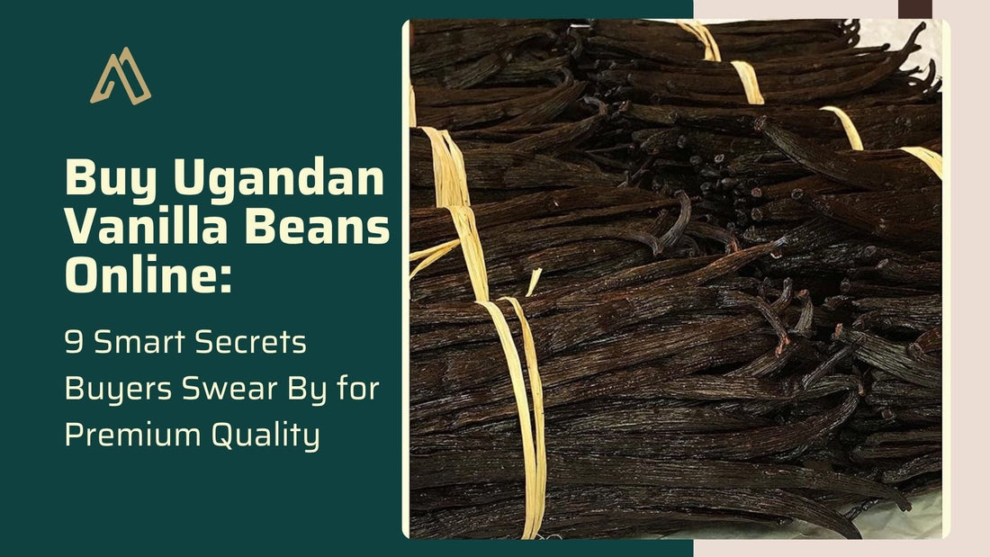 Buy Ugandan Vanilla Beans Online | Smart Buyer Guide