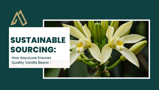 Sustainable Sourcing: How AayuLuxe Ensures Quality Vanilla Beans