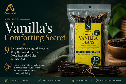 Vanilla's Comforting Secret: 9 Powerful Neurological Reasons Why the World's Second Most Expensive Spice Feels So Safe