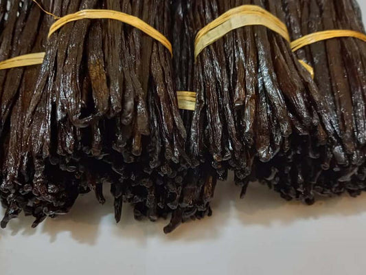 The Anatomy of a "Gourmet" Bean: What Grade A+ Actually Means