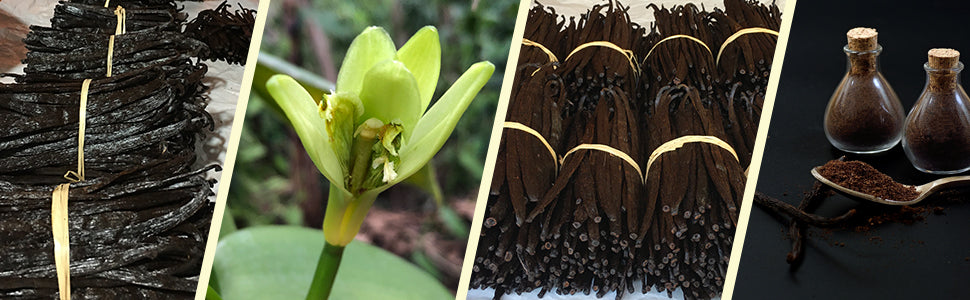 A Hearty Vanilla Experience: From Romance to Heart Wellness