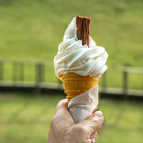 How Corporate Social Responsibility (CSR) Is Transforming the Vanilla Industry