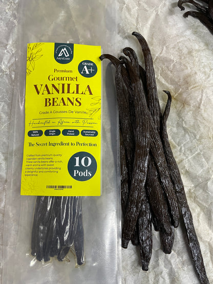 35 Premium Whole Vanilla Beans Grade A+ (gousses de vanille) | Vanilla Beans For Making Vanilla Extract.
