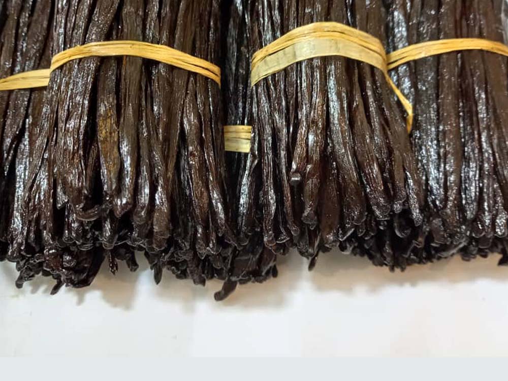 Bundles of vanilla beans tied with yellow rubber bands on a white background.