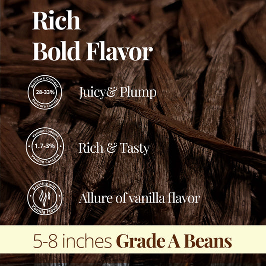 Grade A vanilla beans 5 to 8 inches rich bold flavor plump juicy gourmet vanilla pods premium natural vanilla for baking extracts