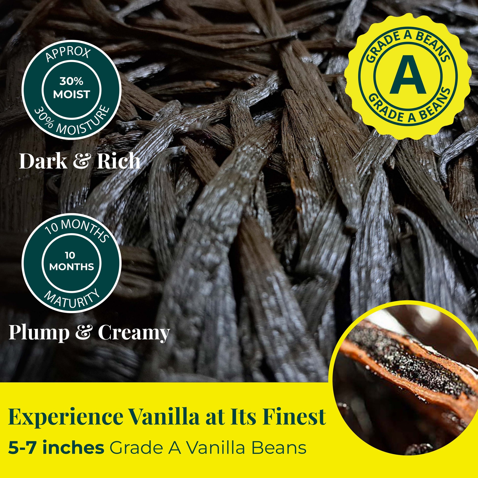 Grade A vanilla beans dark rich plump pods high moisture gourmet vanilla beans 5 to 7 inches premium natural vanilla for baking