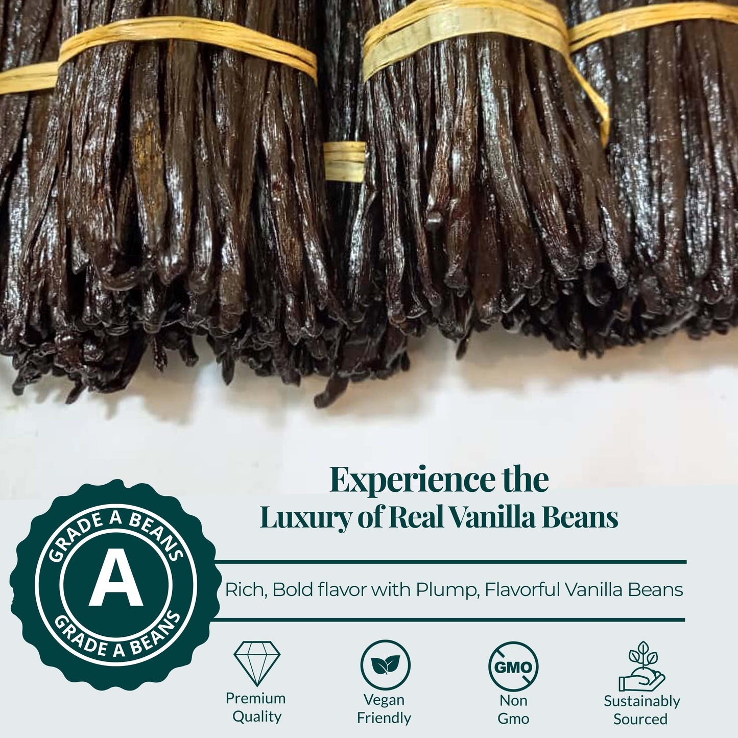 Grade A vanilla beans premium plump pods rich bold flavor natural non GMO gourmet vanilla beans for baking and extracts