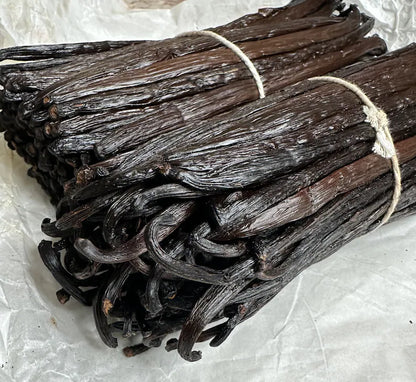 Bundle of tied vanilla beans in bulk