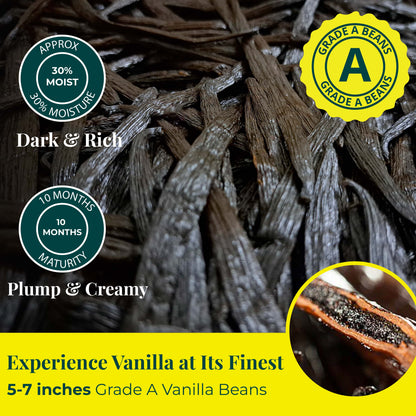 Experience Vanilla at its Finest 5 -7 inches Grade A Vanilla Beans. Approx 30% Moisture content ,uganda origin vanilla beans.