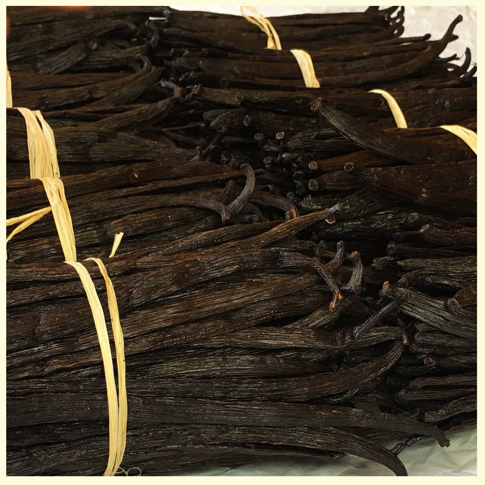 Bulk vanilla beans on a table